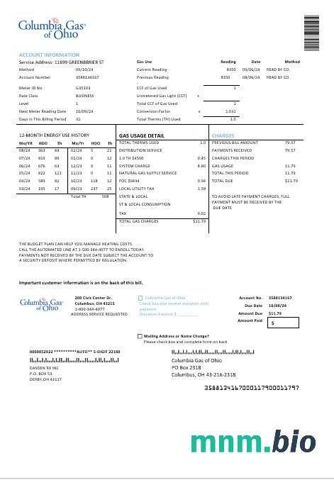 Szablon rachunku za media Biznesowe w USA Columbia Gas of Ohio w formatach Word i PDF